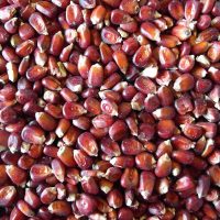 BJF_Feeds_Red_Maize_Mix_Feed